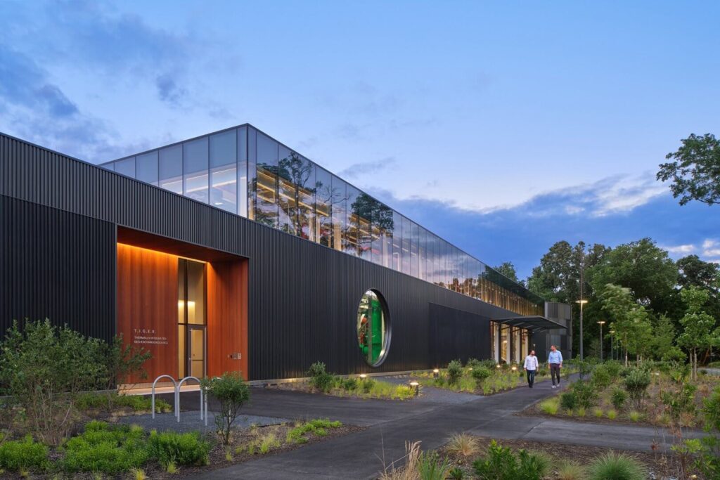 white sofa against a background of a black wall with molded white lighting